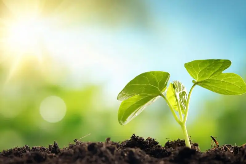 Главные принципы нового Экологического кодекса назвал Магзум Мирзагалиев