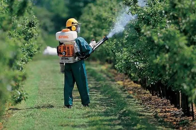 Борьба с комарами: столичные дезинфекторы рассказали о своей работе