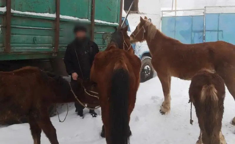 Серийных барымтачей задержали в Жамбылской области