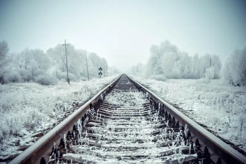 Грузовой поезд сбил лошадь в Павлодарской области