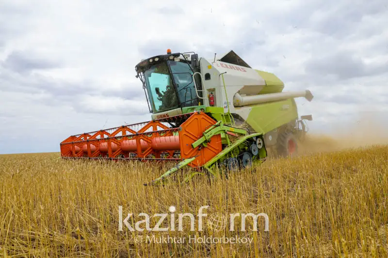 Минсельхоз в корне изменил систему страхования для аграриев