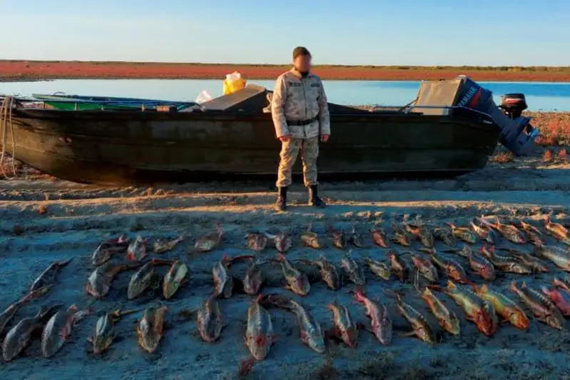 Два браконьера выловили 245 кг осетровых на Каспии