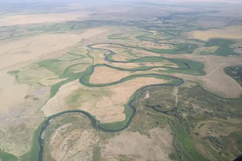Саксаул горит в песках Мойынкума: пожар тушат четвертые сутки