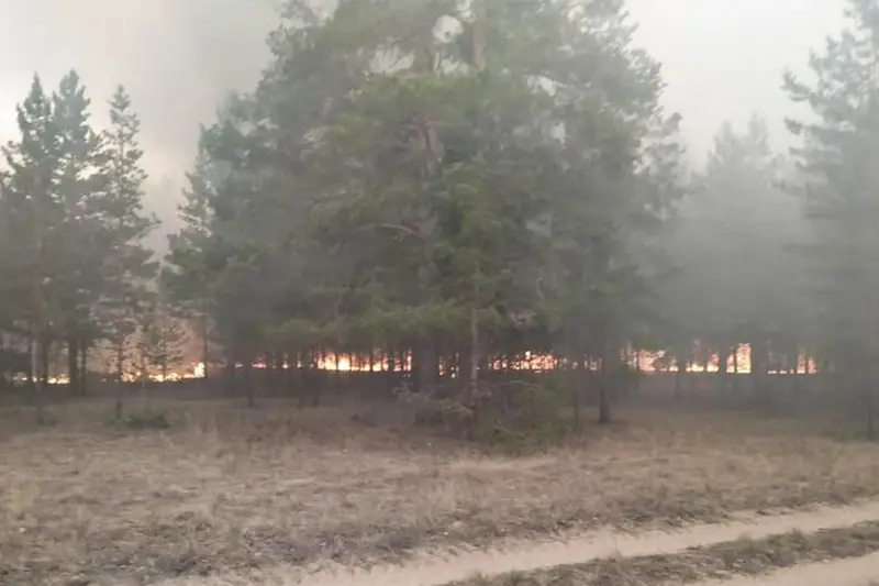 На тушение лесного пожара в ВКО отправились спасатели Нацгвардии РК