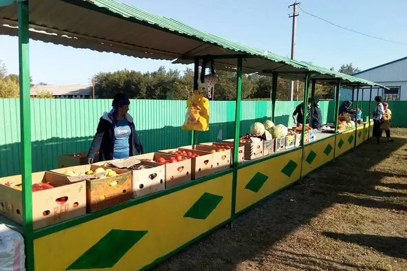 Свыше 50 миллионов тенге получили сельчане по госпрограмме на развитие бизнес идей в ЗКО