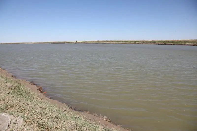 15-летний подросток утонул в Сырдарье в Байконуре