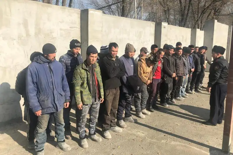 Две тысячи граждан Узбекистана привлечены за нарушения миграционного законодательства