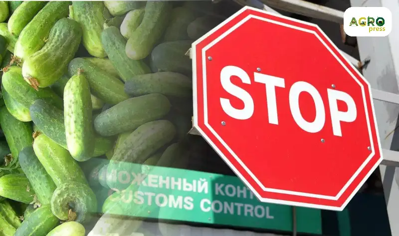 Предотвращен ввоз в Казахстан 62 тонн зараженных огурцов из Ирана