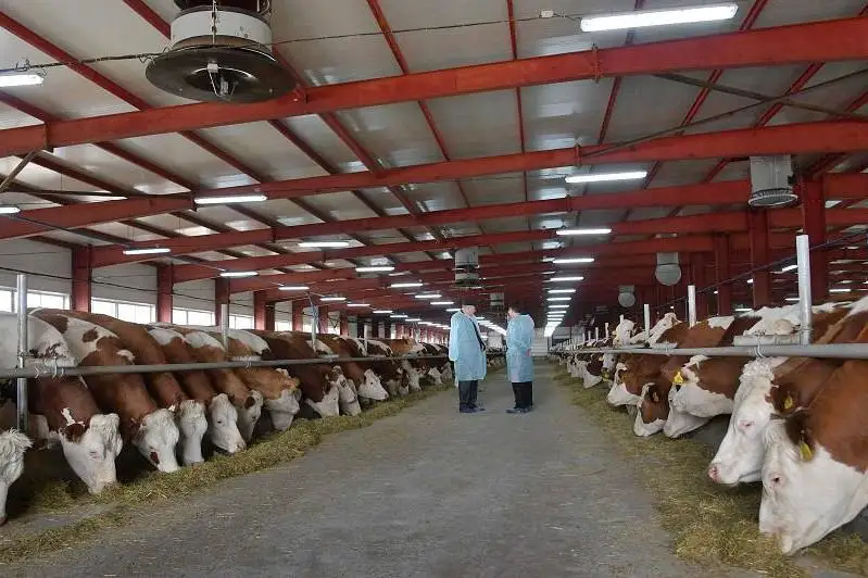 Семь молочно-товарных ферм построят до конца года в Павлодарской области