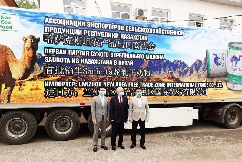 Из Карагандинской области стартовал экспорт сухого верблюжьего молока в Китай