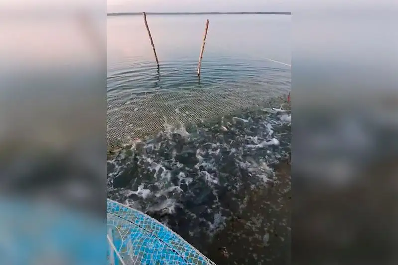 «Мертвое» озеро ожило в Северо-Казахстанской области