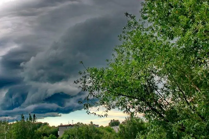 О шторме предупредили жителей Кызылординской области