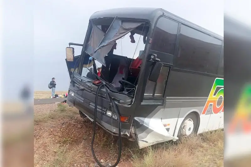 ДТП со школьниками в Алматинской области: автобус съехал в кювет
