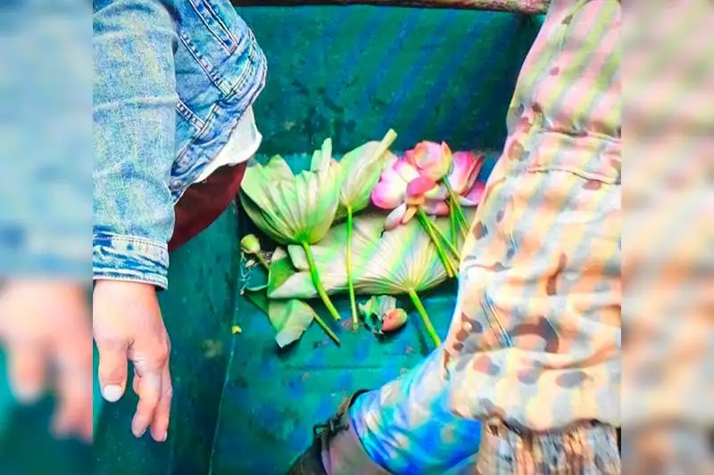 Занесенные в Красную книгу лотосы обнаружили у туристов в Атырауской области