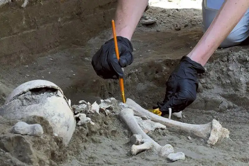 Останки человека случайно обнаружил житель Кокшетау