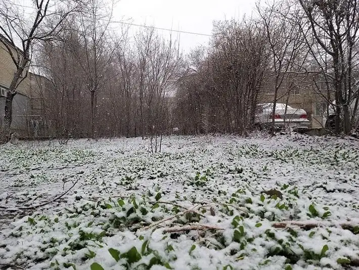 Атырау неожиданно накрыл снег