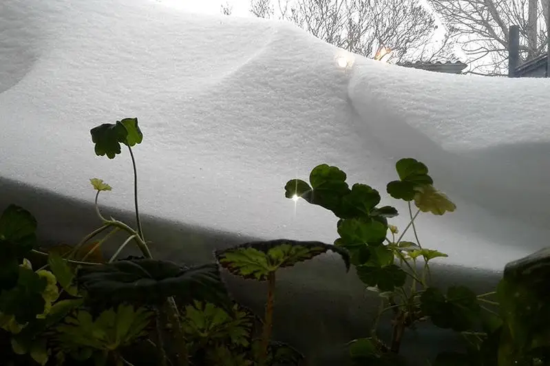 Почти полметра снега  выпало в Семее