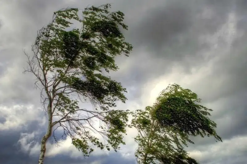 Шквальный ветер с грозой надвигается на Атыраускую область
