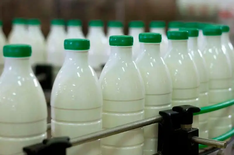 Производство молочных продуктов и мяса выросло в Костанайской области