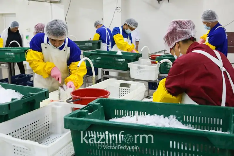 Каждая десятая проба продукции не соответствует техрегламенту в СКО