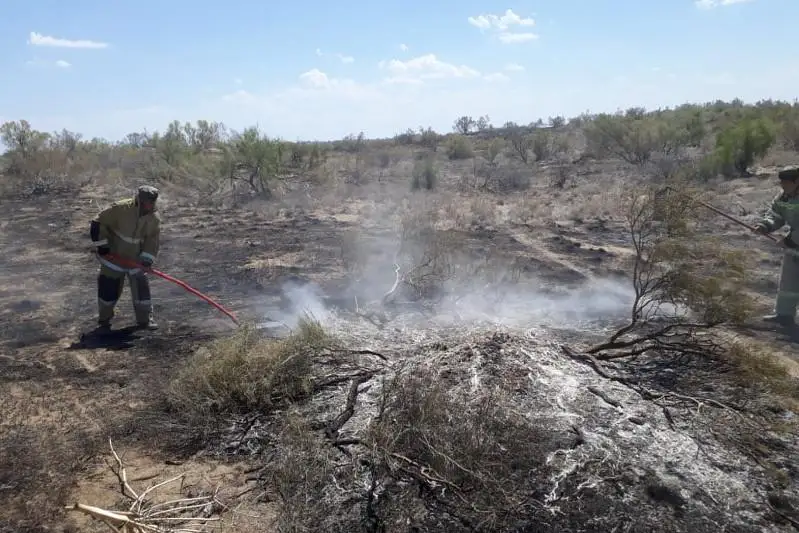 Пожар на территории Луговского лесничества Жамбылской области ликвидирован