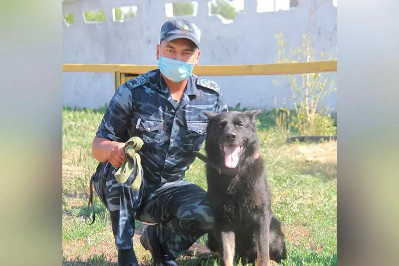 Около 200 преступлений раскрыто служебными собаками в ВКО