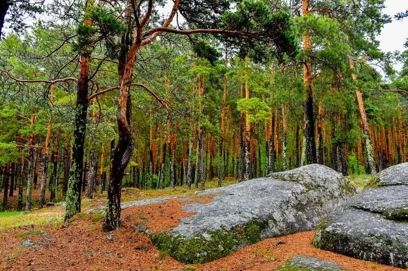 Как будут развивать курорт на севере Казахстана