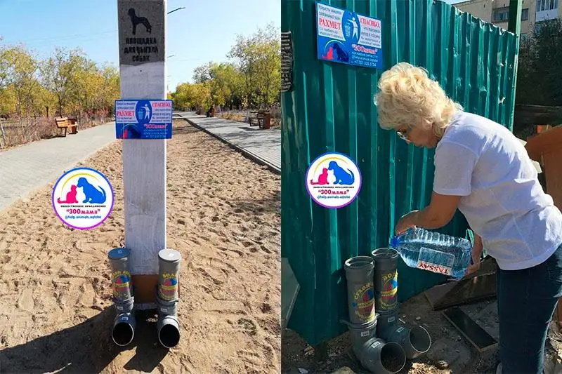 Кормушки для бездомных животных установили в Актобе