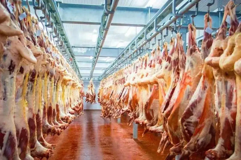 Туркестанская область - лидер в республике по экспорту мяса