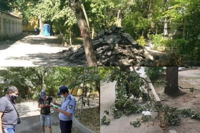 За обрезку деревьев и порчу насаждений оштрафовали подрядчика в Алматы