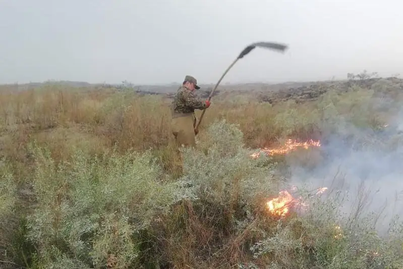 Степь горит в трех районах Восточного Казахстана
