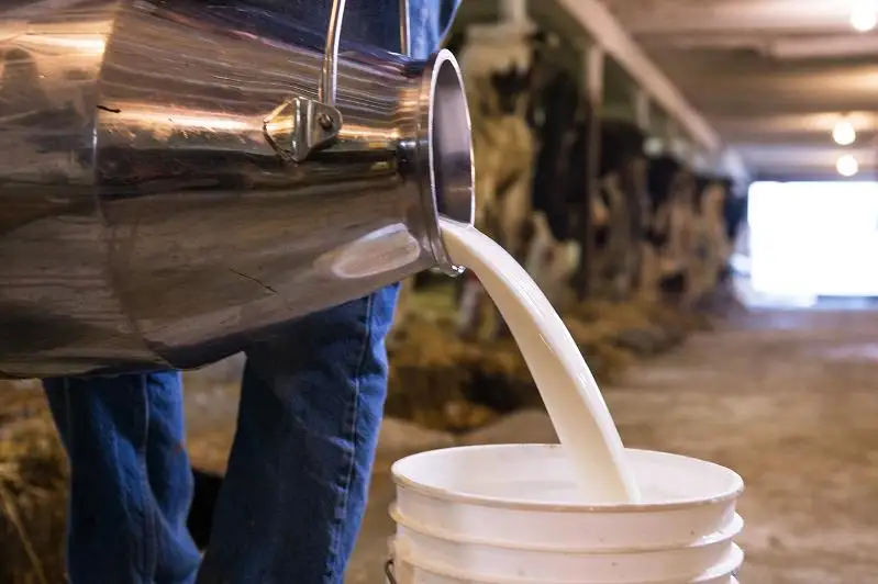 Наступит ли в РК «молочный кризис», рассказали в Минсельхозе