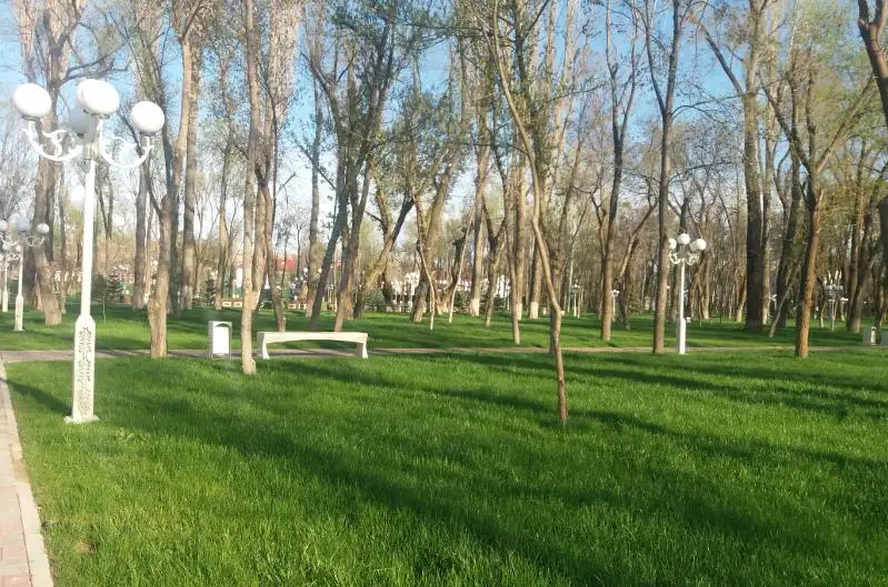 Более 120 тысяч саженцев высадят в Жамбылской области