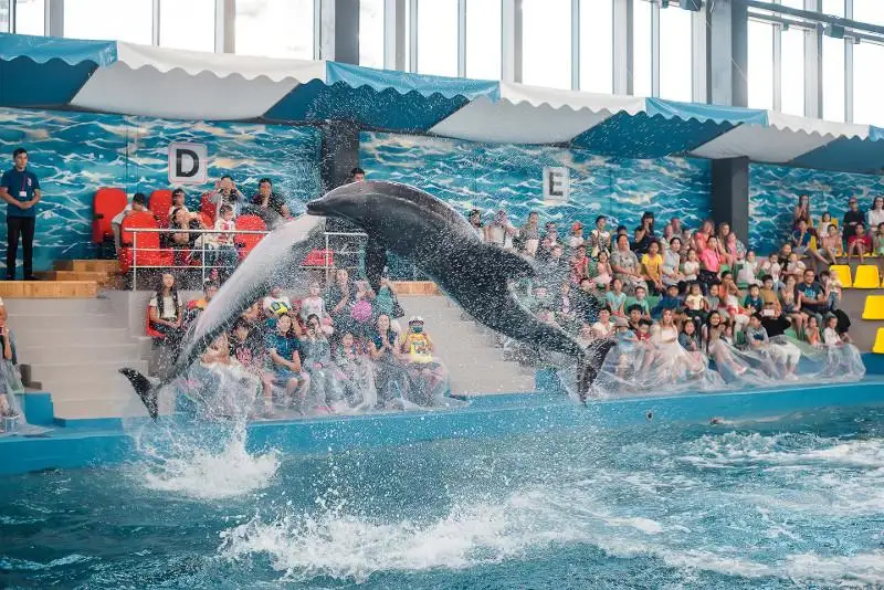 Обращение казахстанских зоозащитников о закрытии дельфинариев рассмотрит Минэкологии