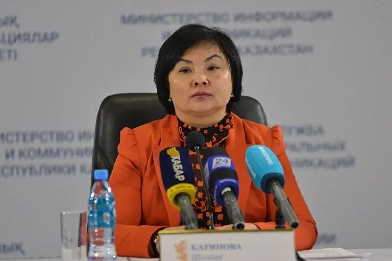 Директору департамента по обеспечению качества в сфере образования Туркестанской области объявлено замечание