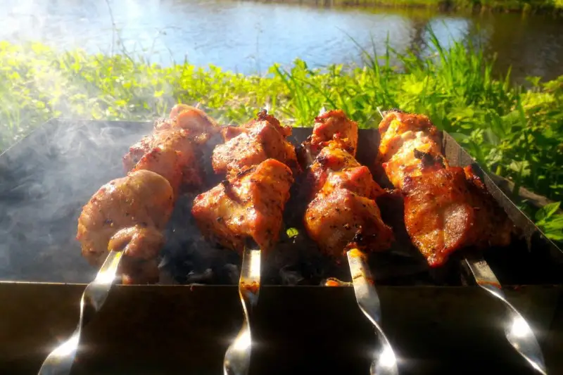 Пикник во время карантина устроили жители столицы