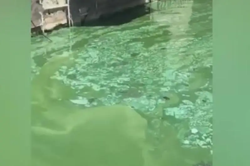 Зеленый цвет воды в Есиле: первые анализы показали соответствие нормам