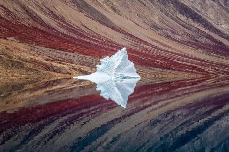 Объявлены победители  Sony World Photography Awards 2020