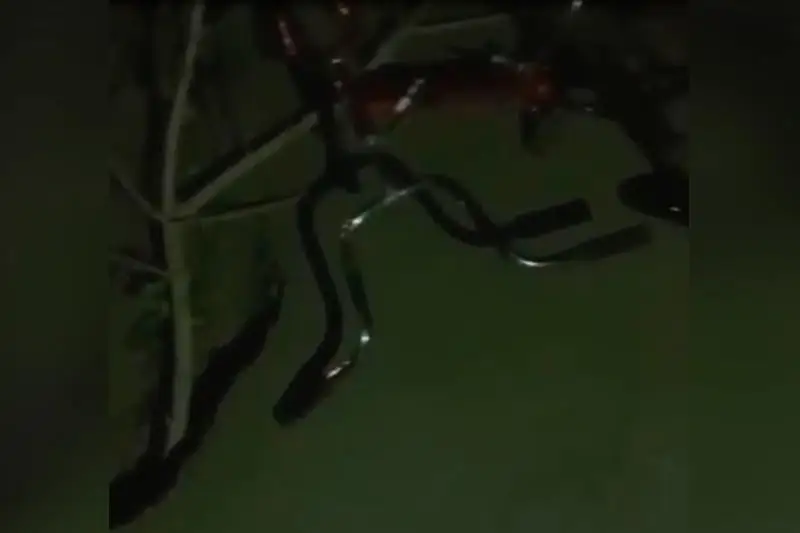 Выбитые зубы и гематомы: девушка на велосипеде угодила в яму в Семее