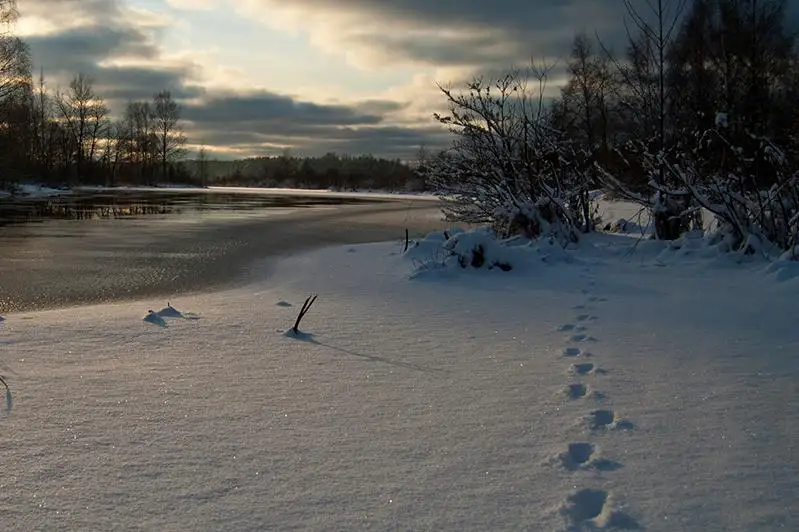 Тело мужчины обнаружено на берегу реки Урал