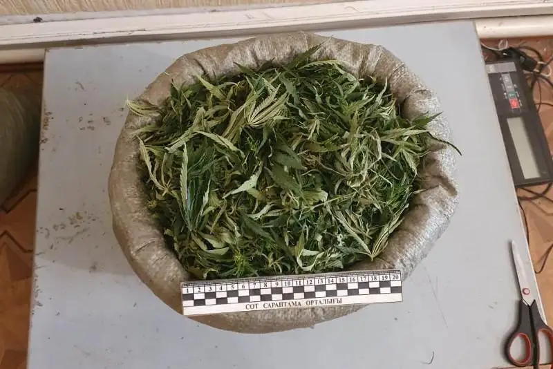 17 кг марихуаны изъяли у жителя Жамбылской области