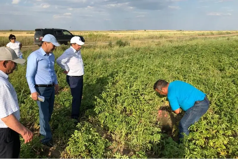 Систему орошения земель восстанавливают в Карагандинской области