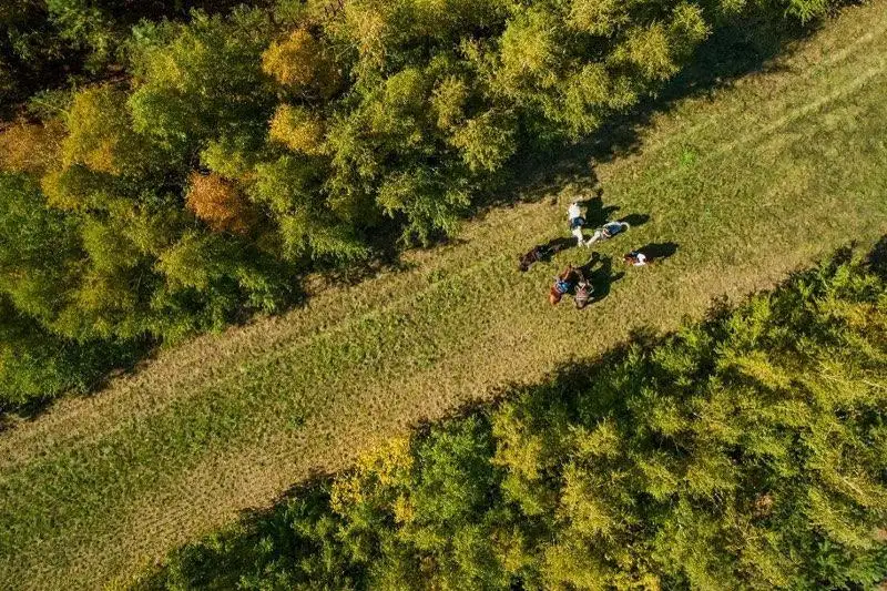 Что нового в зеленом поясе столицы, рассказал Алтай Кульгинов