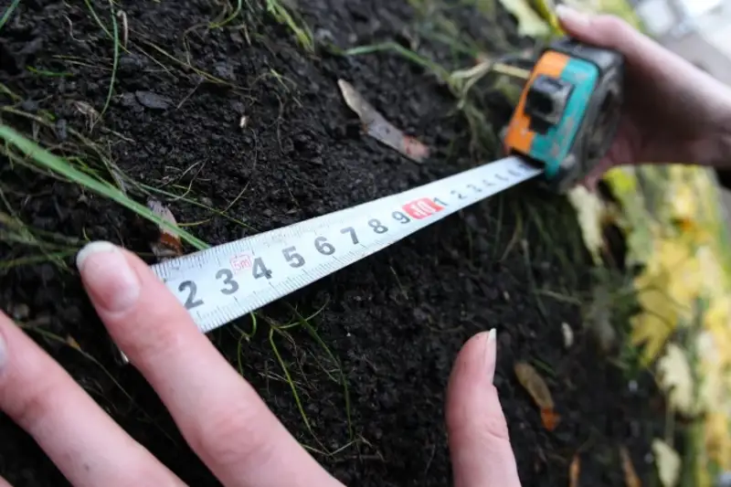 В продаже земель в районе аэропорта Алматы подозревают ОПГ из бывших сотрудников районного акимата