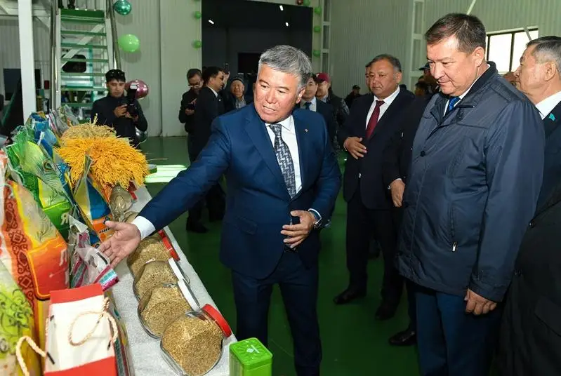 В Кызылорде открыли завод по переработке риса
