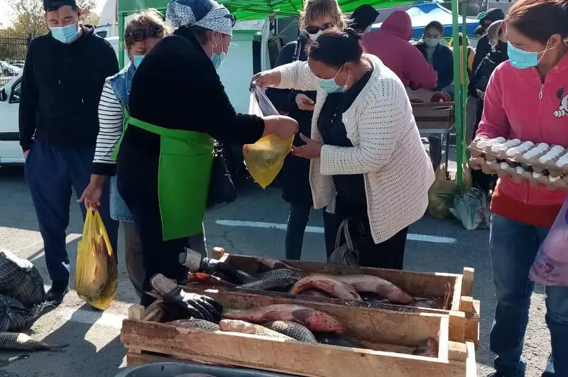 В Атырау прошла первая сельскохозяйственная ярмарка