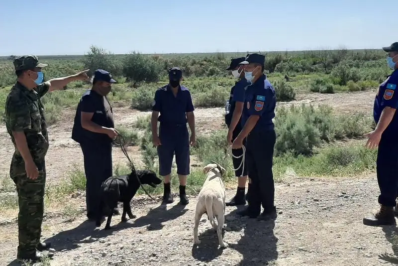 Пропавшего военнослужащего из Узбекистана ищут казахстанские спасатели в Мактааральском районе