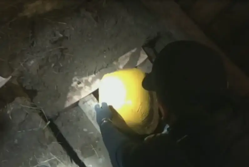 Тайник с 25 кг марихуаны нашли во дворе павлодарца