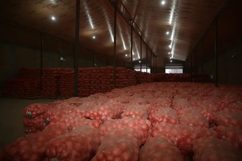 Увеличить объемы складов посоветовал жамбылским луководам Бердибек Сапарбаев