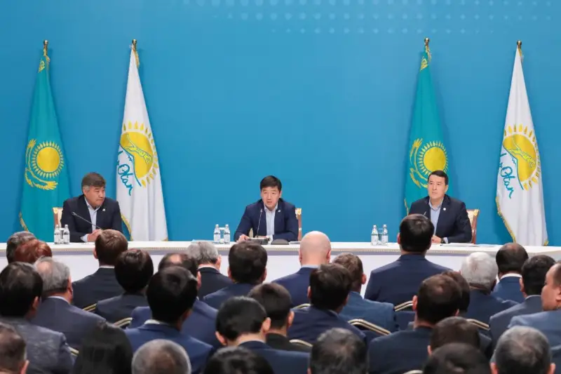 Вопросы развития самых отдаленных районов и сел страны обсудили в партии «Nur Otan»